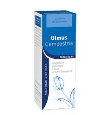 20 Ulmus campestris 30° 50ml